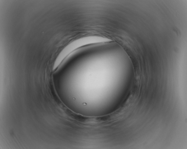 X0000114070231200910191528