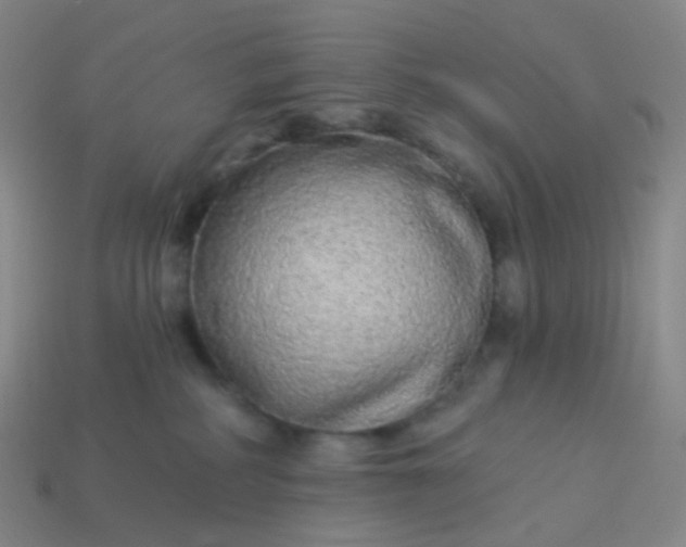 X0000114070234200910191528