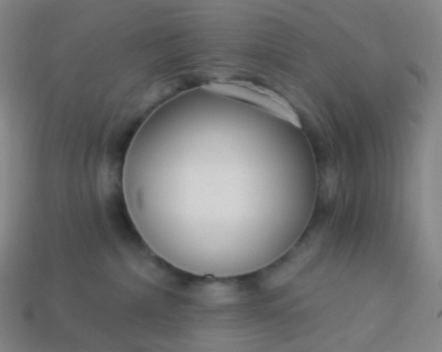 X0000114070236200910191528