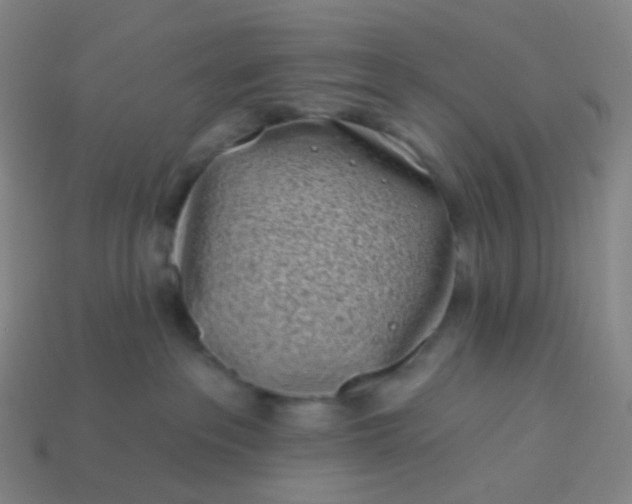 X0000114070237200910191528