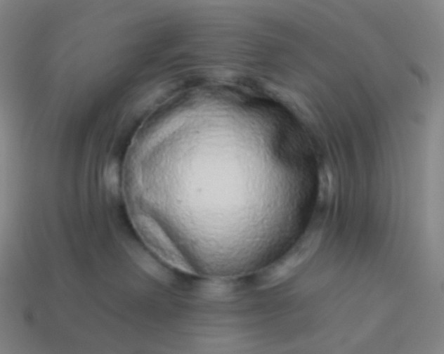 X0000114070238200910191528