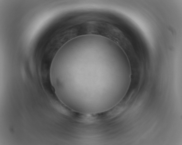 X0000114070239200910191528