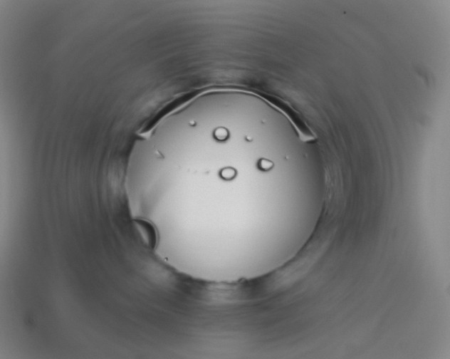 X0000114070240200910191528