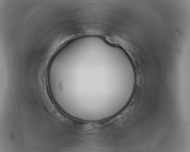 X0000114070241200910191527