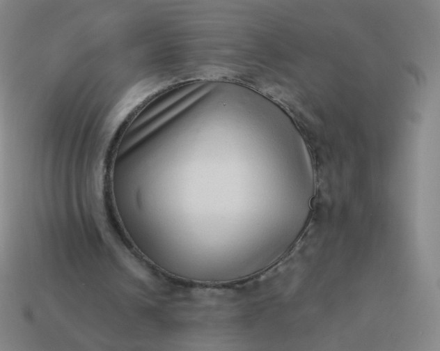 X0000114070242200910191527