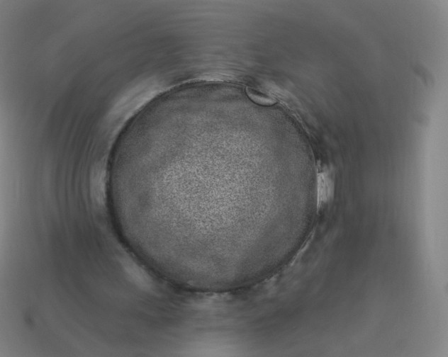 X0000114070243200910191527