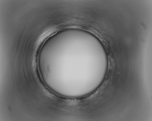 X0000114070245200910191528