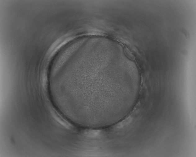 X0000114070247200910191528