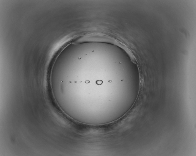 X0000114070248200910191528