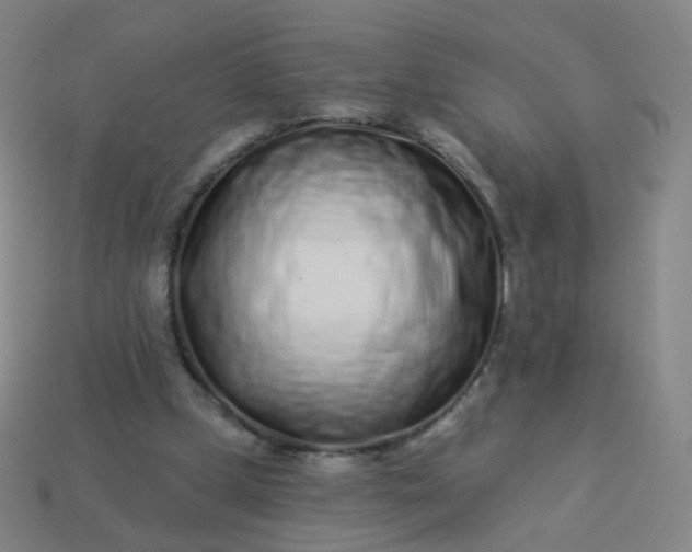 X0000114070249200910191528