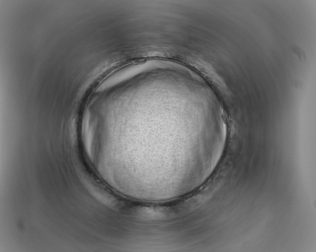 X0000114070250200910191528