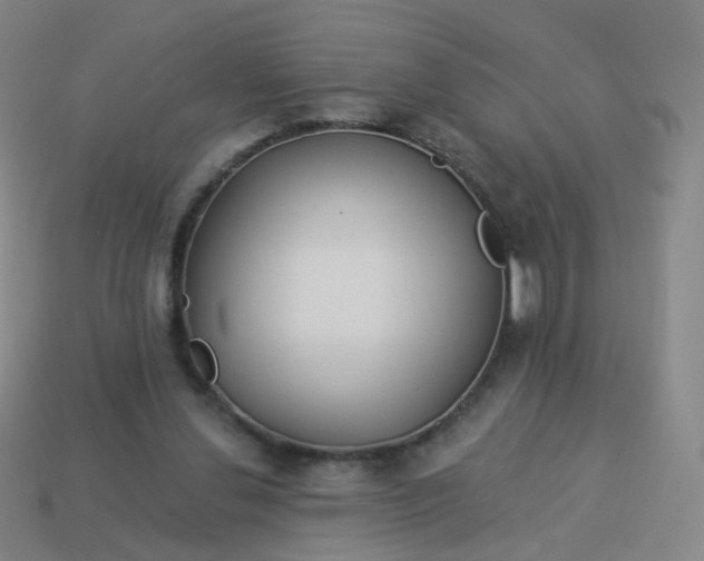 X0000114070252200910191528