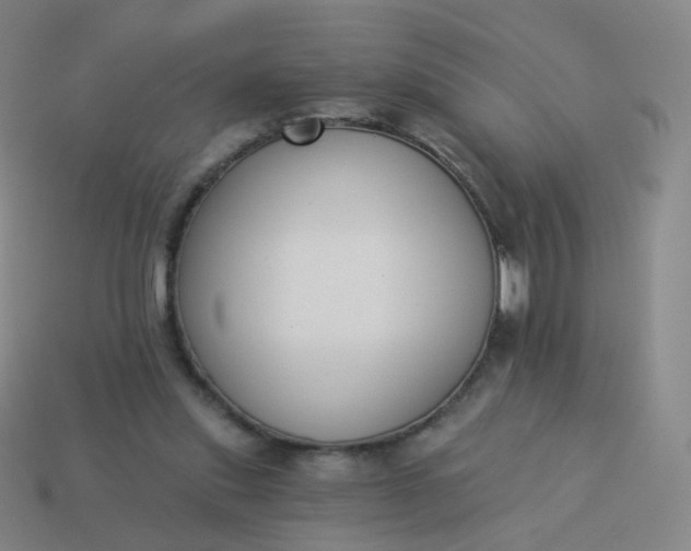 X0000114070253200910191528