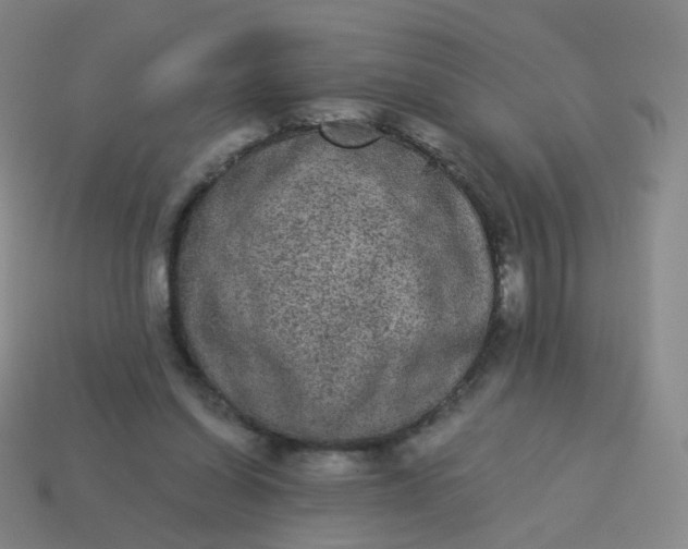 X0000114070254200910191528