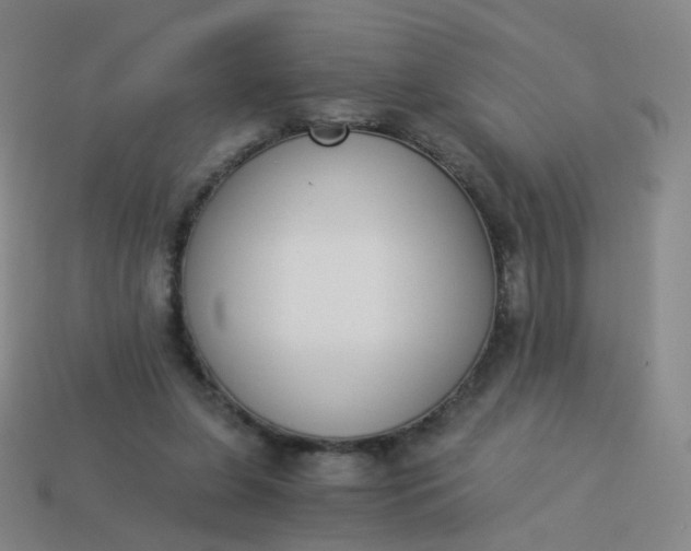 X0000114070255200910191528