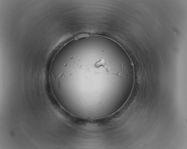 X0000114070256200910191528