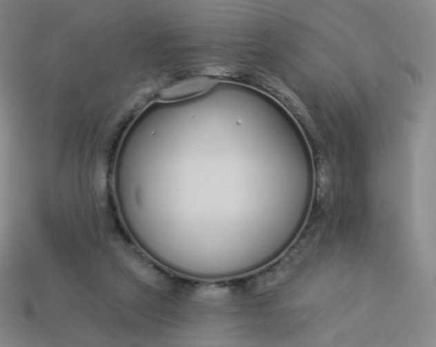 X0000114070257200910191528