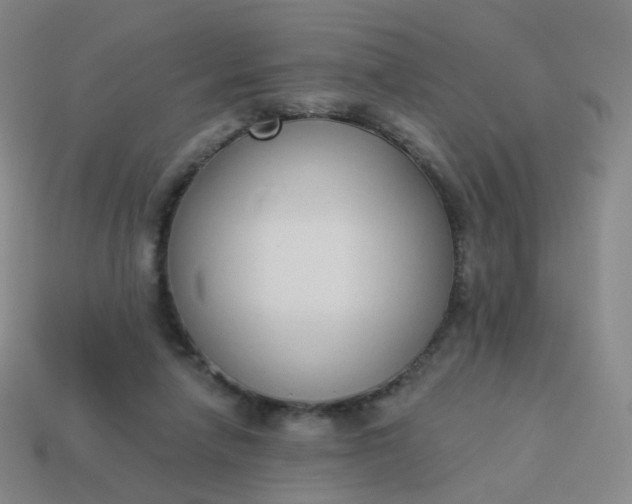 X0000114070258200910191528