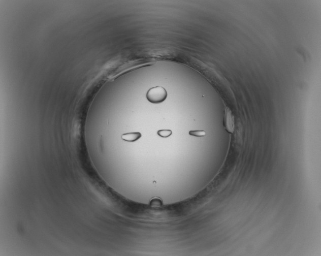 X0000114070260200910191528