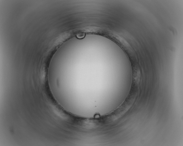 X0000114070261200910191528