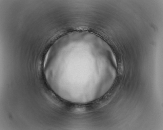 X0000114070263200910191528