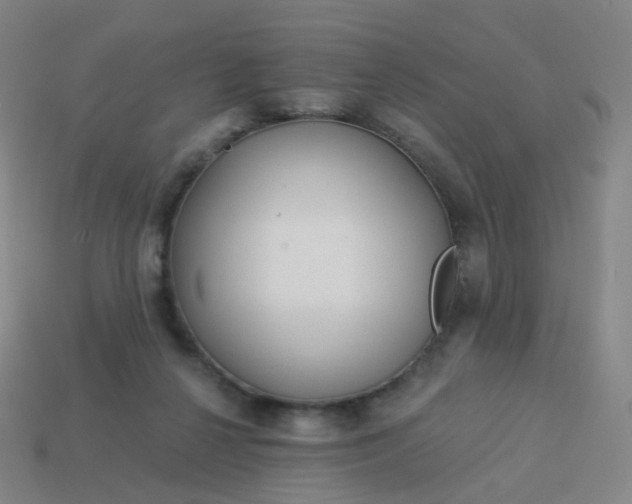 X0000114070264200910191528