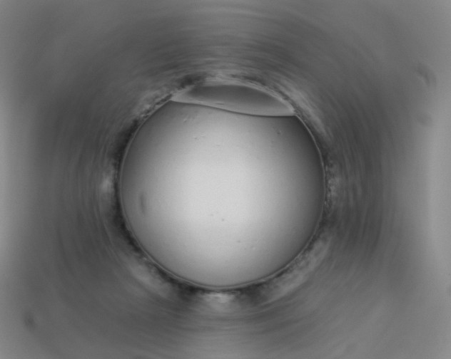 X0000114070265200910191528