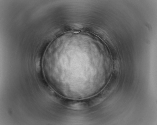 X0000114070267200910191528