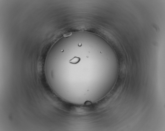 X0000114070268200910191528