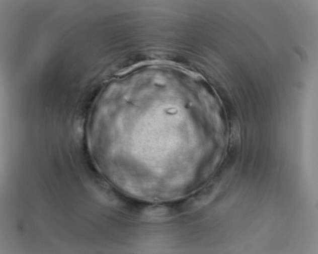 X0000114070271200910191528