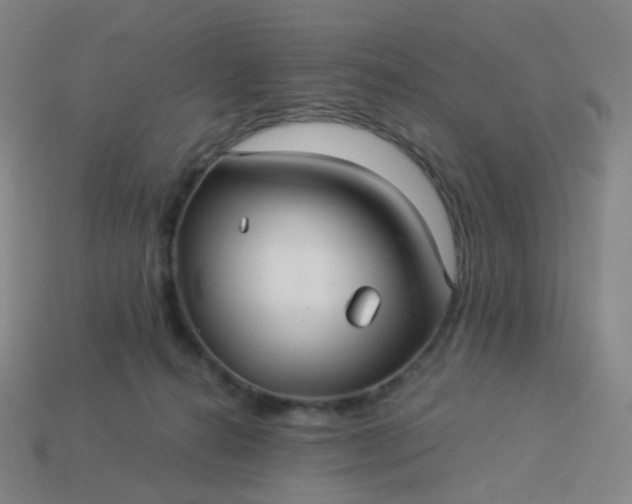 X0000114070272200910191528