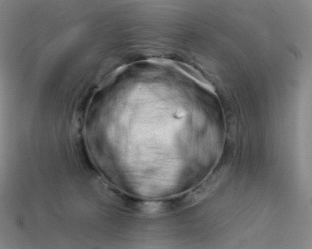 X0000114070273200910191528