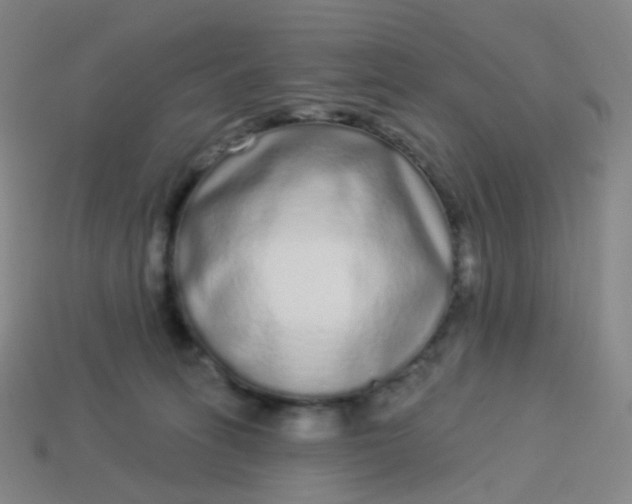 X0000114070275200910191528