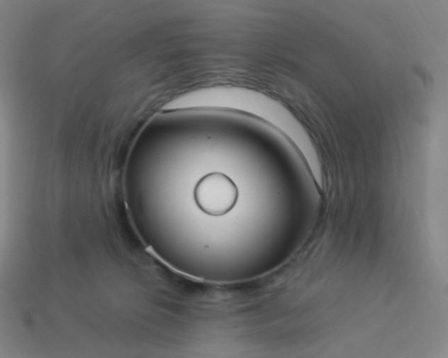 X0000114070276200910191528