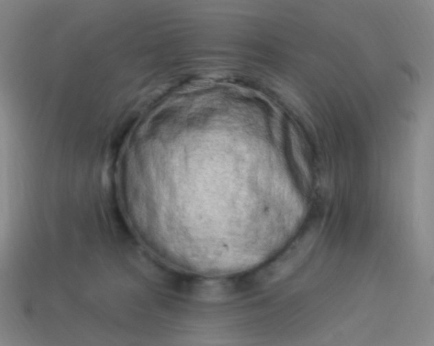 X0000114070277200910191528