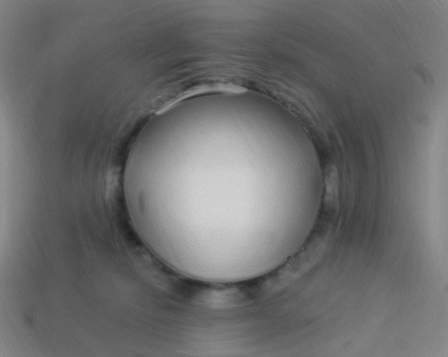 X0000114070278200910191528