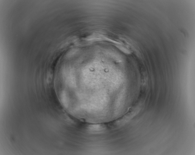 X0000114070281200910191528