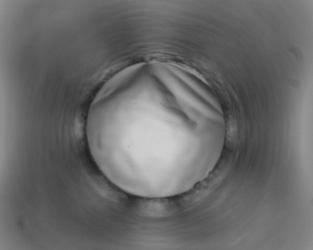 X0000114070282200910191528