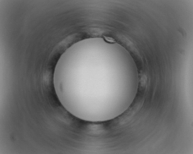 X0000114070283200910191528