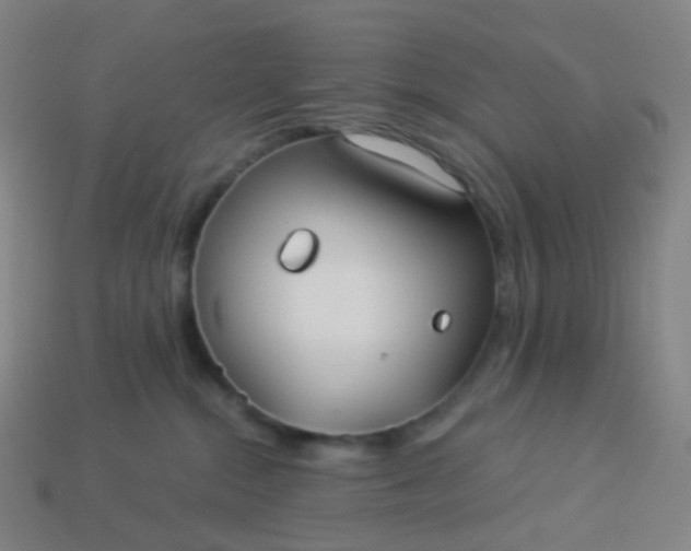 X0000114070284200910191528