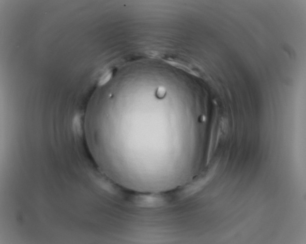 X0000114070286200910191528