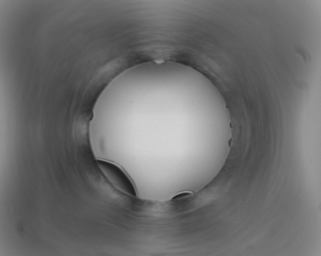 X0000114070288200910191528