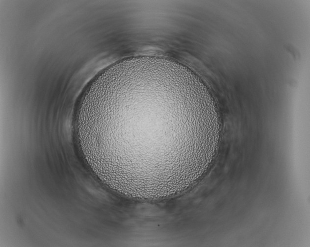 X0000114070290200910191527