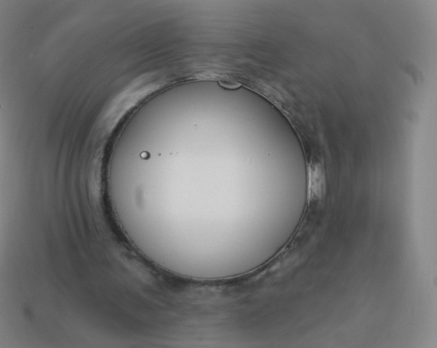 X0000114070291200910191527