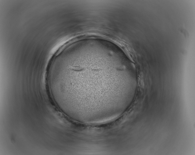 X0000114070292200910191527