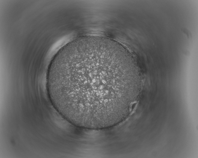 X0000114070293200910191527