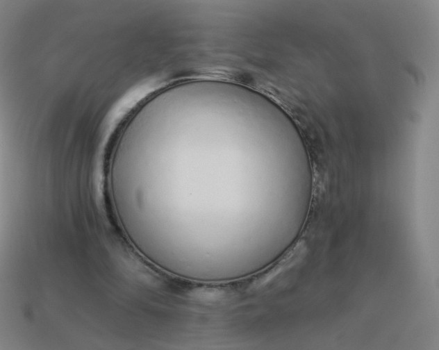 X0000114070294200910191527