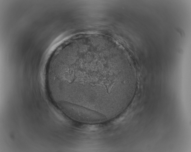 X0000114070295200910191527