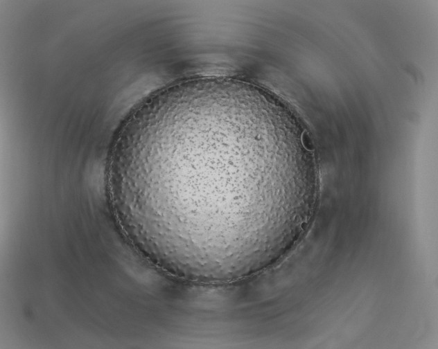 X0000114070297200910191527