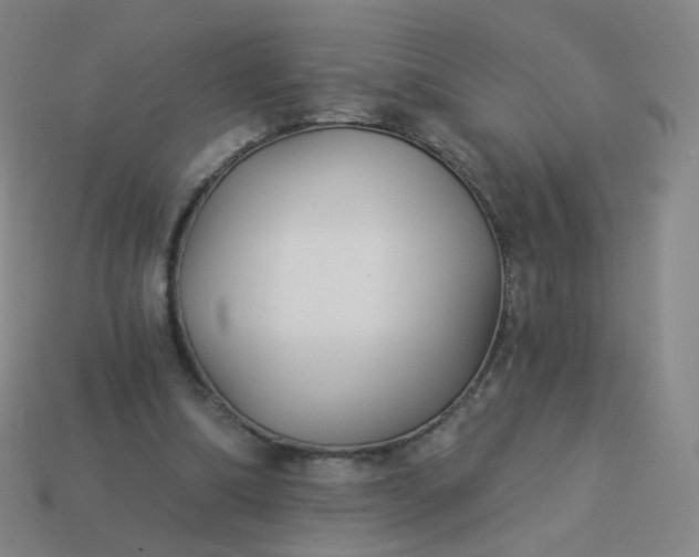 X0000114070298200910191527